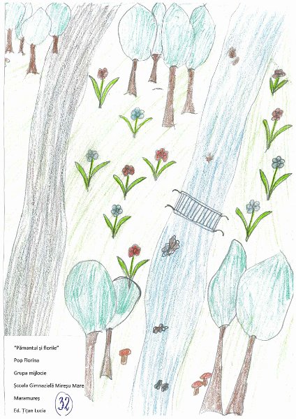 32_Florina POP_Miresu Mare.jpg